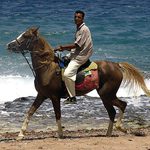 arab s arabem