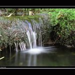 <B><U>---POTOK---</U></B>