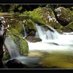 Slovinsko - Kousek od vodopadu Slavica