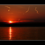 Balatonská západofka...