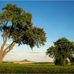 <b> Solansko V. <b/>