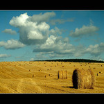 Balíci
