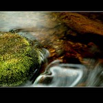 Losenice