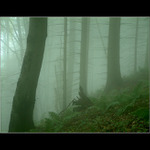 Mlha nad Starým hradem