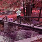 Running friends by A.Warhol