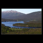 <b>* Koupím chatu *</b>