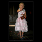 <b>* Cesta květy posetá *</b>