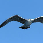 Jen se tak vznášet