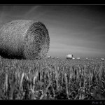 ■ █  ■ ■ ■  ■■■  ■■■ ■ ■■ ■■■