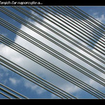 ...dle naznačených čar naporcujte a ...