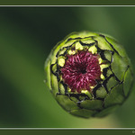 Když jsem byla malá,vypadala jsem takhle..