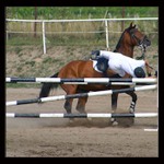 <b>Neskočím! aneb studie pádu</b>