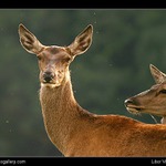 Čekání na toho pravého :-)