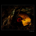 Dříve byly nové byly chromové