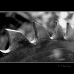 Nebezpečný pomocník