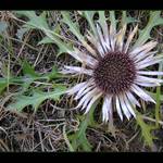 Podzimní sluníčko