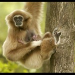 Mléčný bar - provoz nepřerušen!!