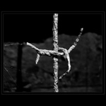 O s t n a t ý   d r á t