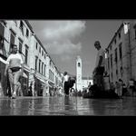 <b>ze života brouka IX </b>... tentokráte v Dubrovníku