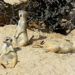 <b>.:Odpolední siesta:.</b>