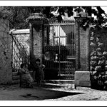 ...nedělní siesta ...