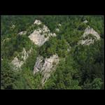 O skamenelých mníchoch...