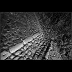 ...zpověď mrtvého racka...