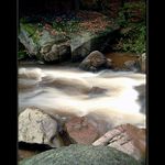 Údolím Divoké Orlice