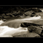 V údolí Divoké Orlice II