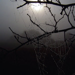 Poslední záležitosti letošního léta - zádumčivost.