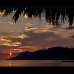 Večer pod palmami aneb KJB