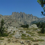 Bavela