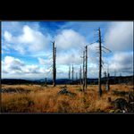 ZEMĚ ČESKÁ - DOMOV MŮJ