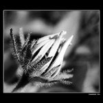 <b>..:: Zahradní ... ::..</b>