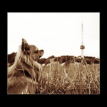 Když zvednu nožičku, porosteš ještě?