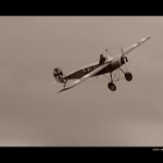 <B>Old Timer</B>