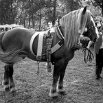 ...neuvěřitelný...