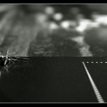 <I><U><B>[: Pár sekúnd po smrti :]</B></U></I>