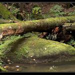 Pod Resovskymi vodopady