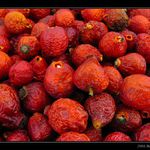 Podzimní sušení šípků