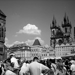 ...čekání na kostlivce...