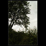 ....podzimní...nálada...