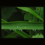 držíme se zuby-nehty