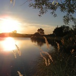 Sedlo