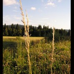 Konec léta na Rejvízu