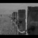 u  Zaječické přehrady