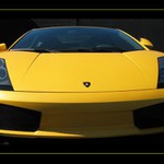 Dravec tváří tvář