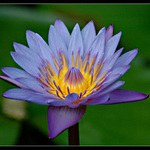 ...žluté křeslo...