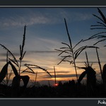 Západ Slnka nad Českou Kanadou