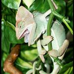 Jsem fakt borec a dokážu se držet jednou rukou :o)